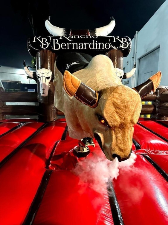 mechanical bull